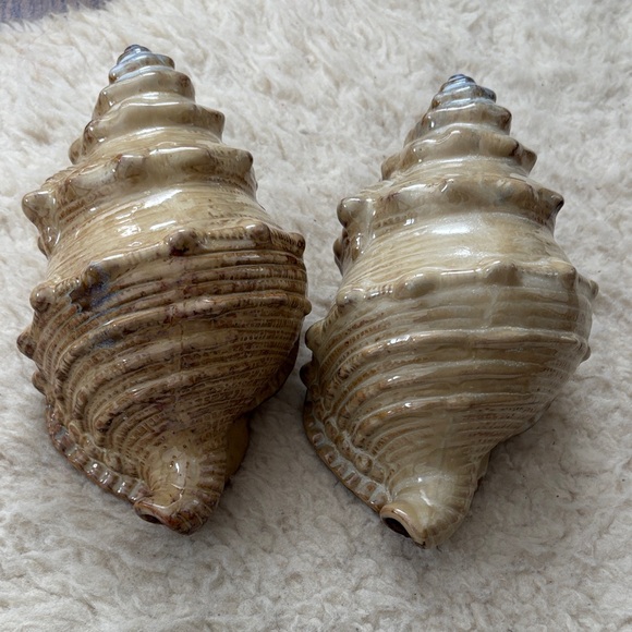 Ceramic Conch Shell Decor - Picture 5 of 6